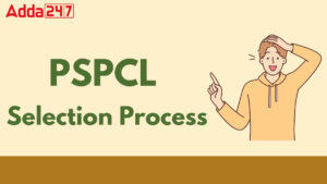 PSPCL ALM Selection Process 2025