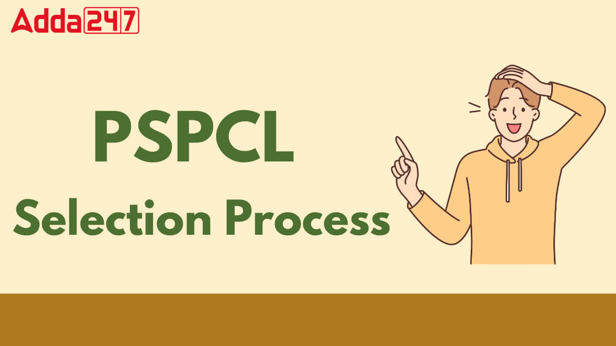 PSPCL ALM Selection Process 2025