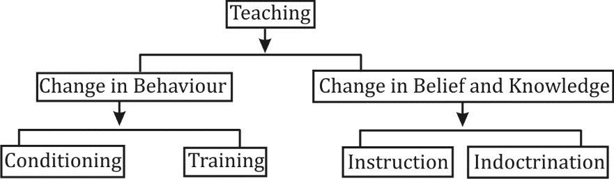 Teaching Continuum-Aims, Methods, Application and Examples_3.1