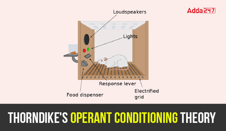 Thorndike's Operant Conditioning Theory-01