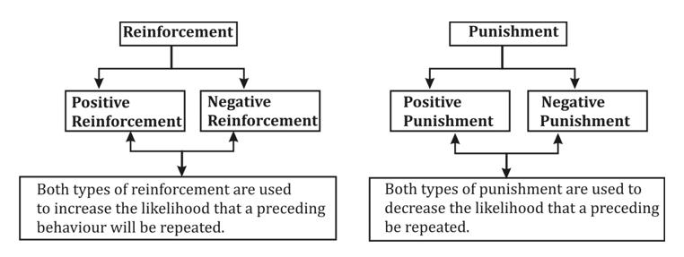 reinforcement