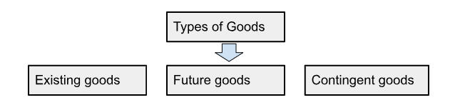 Types of Goods
