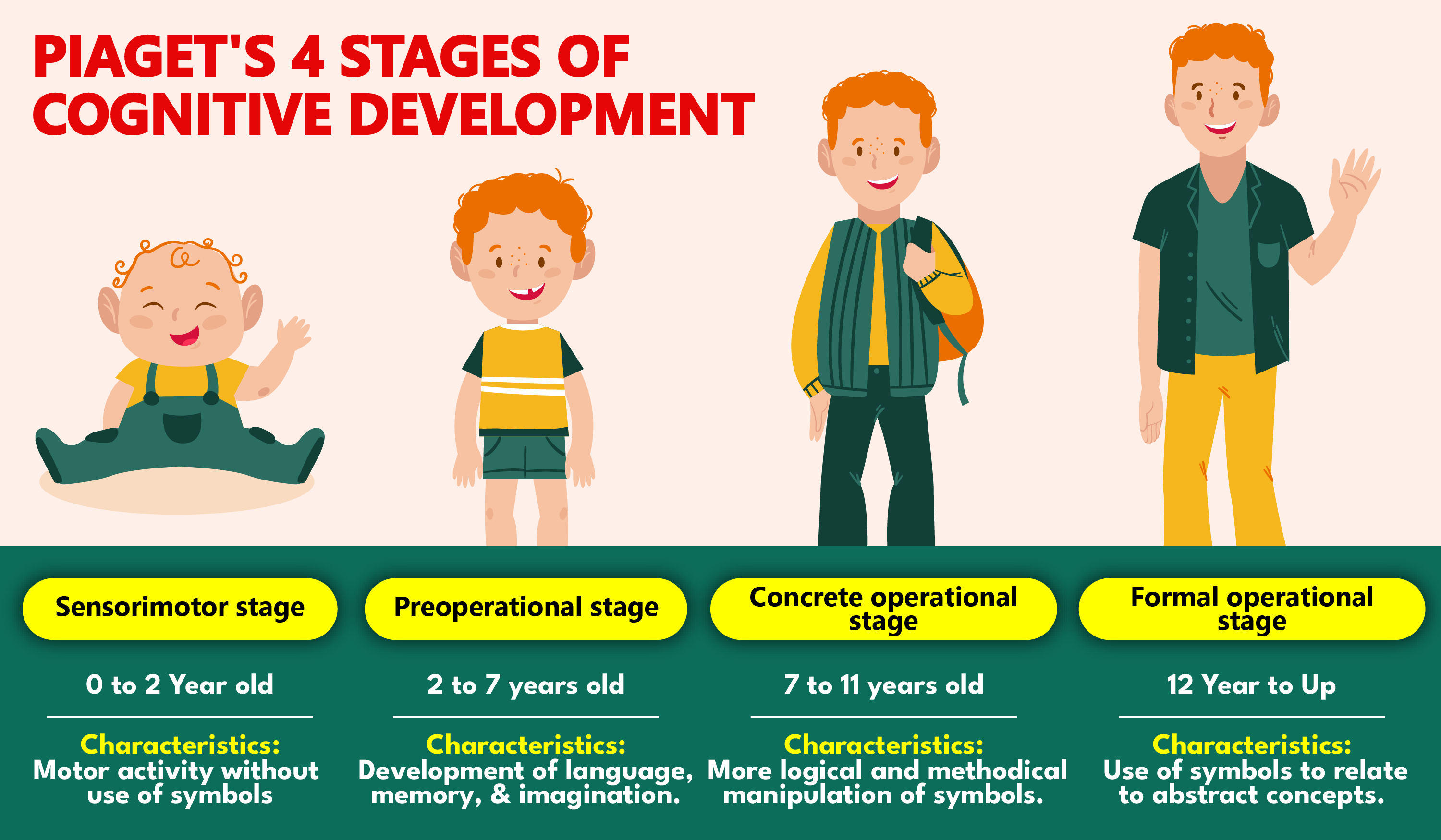 Theory Of Cognitive Development Stages QRMM