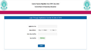 ctet admit card 2024 download link