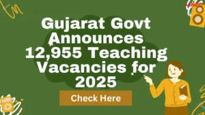 Gujarat Govt Announces 12,955 Teaching Vacancies for 2025, Check Details Here