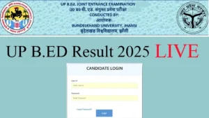 UP BED Result 2025