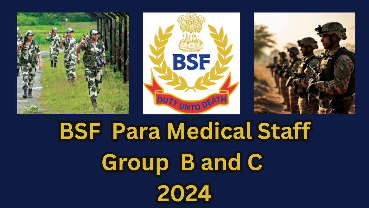 BSF Group B and C Recruitment 2024