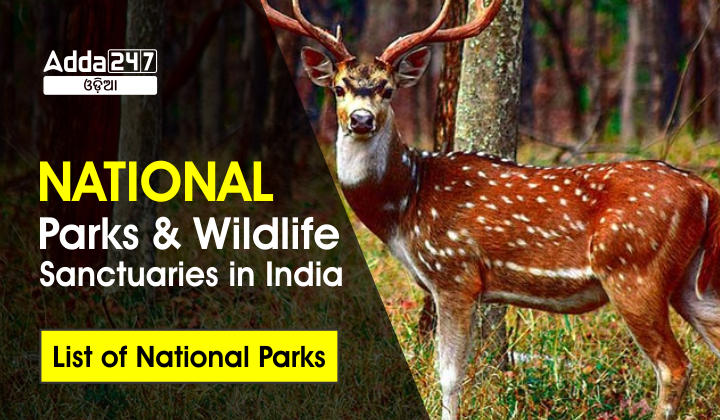 National Parks and Wildlife Sanctuaries in India- List of National parks