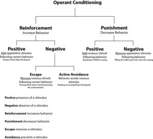 OTET 2022 CDP - Difference Between Operant and Classical Conditioning_3.1