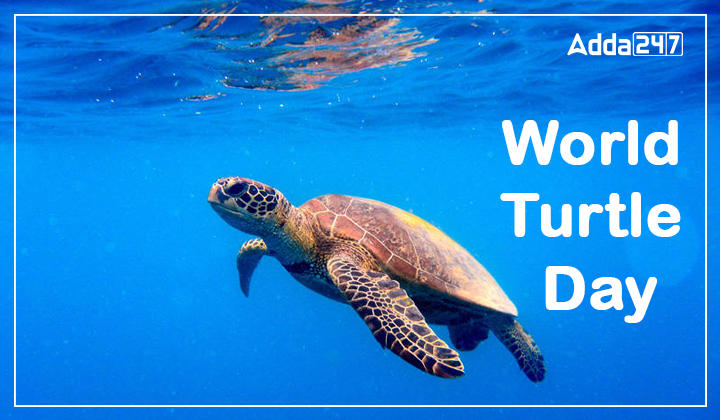 World Turtle Day