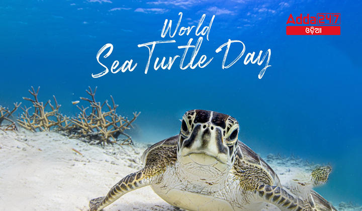 World Sea Turtle Day