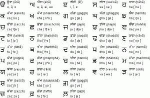 Punjabi Language