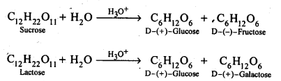 NCERT Solutions For Class 12 Chemistry Chapter 14-Biomolecules