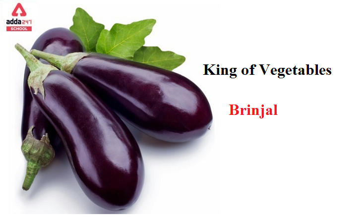King of Vegetables | Brinjal | adda247 school_30.1