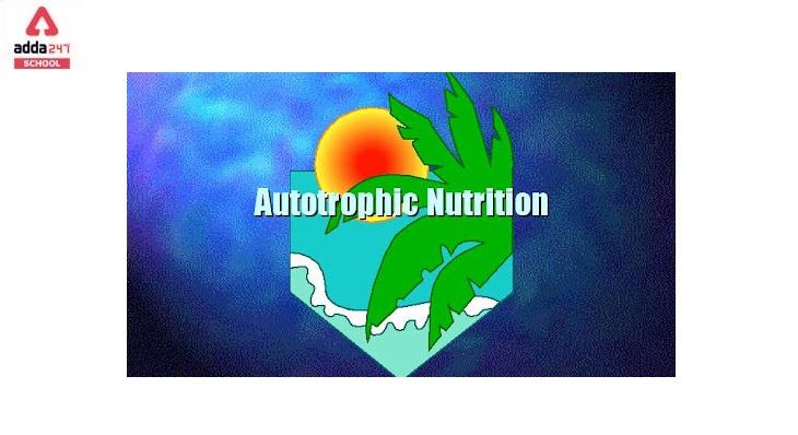 what is Autotrophic Nutrition