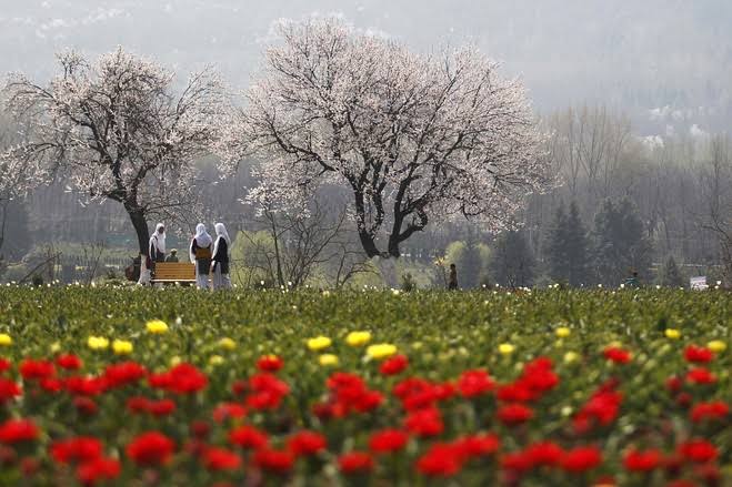 Spring Season in India