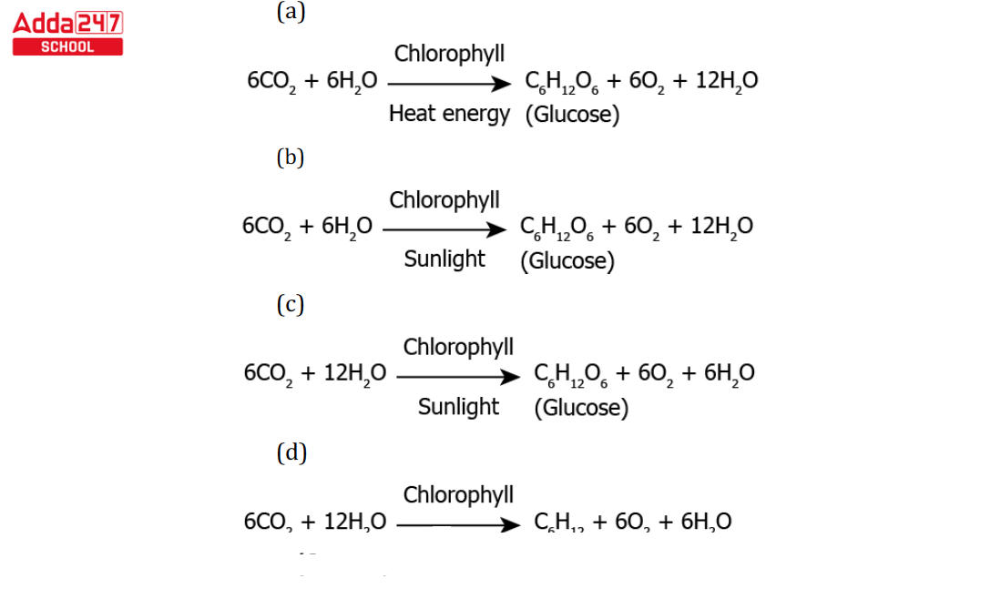 cbse class 10 science mcq