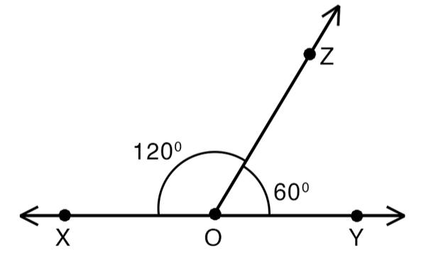 Adjacent Angles -Definition, Properties, Examples -_4.1