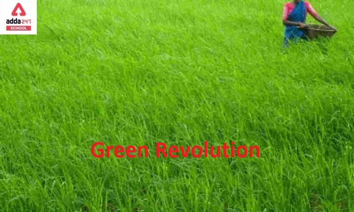 Green Revolution in India