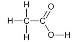 Class 10 Science Previous Year Question Paper PDF, Last 10 Year PYQ with Solutions -_38.1