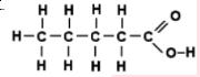 Class 10 Science Previous Year Question Paper PDF, Last 10 Year PYQ with Solutions -_20.1