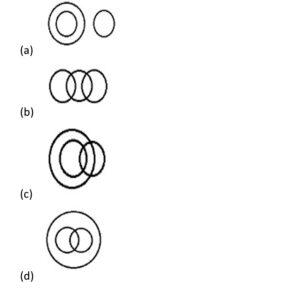 CUET General Test Question Paper 2024 with Solutions_5.1