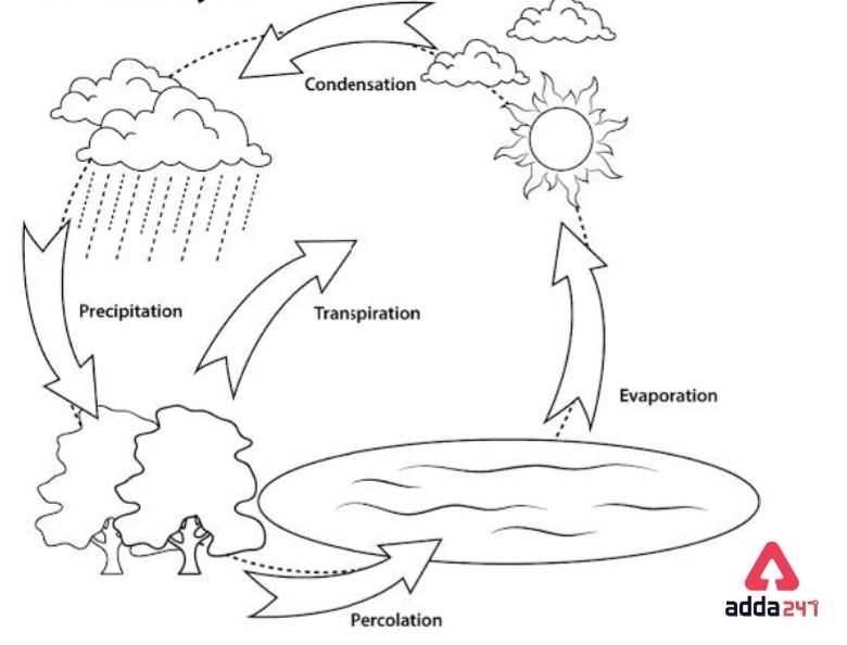 Water Cycle Diagram: Drawing for Kids of Class 3, 4_5.1