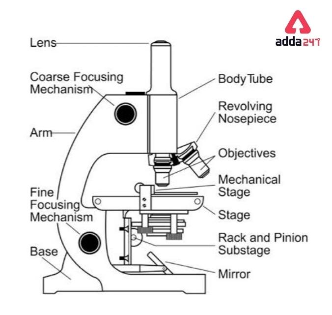 Simple Microscope Diagram, Formula, Definition, Discoverd by_4.1