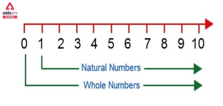 Natural Numbers List, Definition and Examples, for Class 10 & 11_3.1