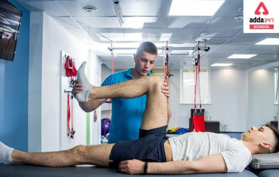 Physiotherapy as a Career: Definition, Course