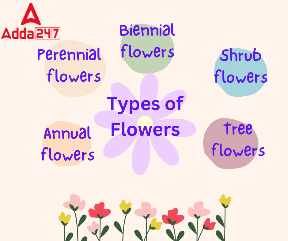 Types of flowers