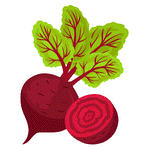 Beetroot