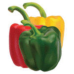 Capsicum