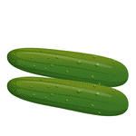 Cucumber