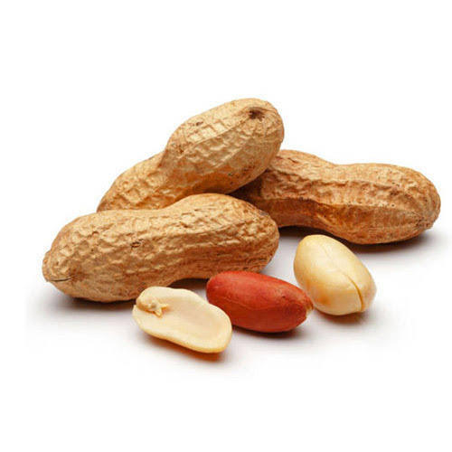 Dry Fruits Name