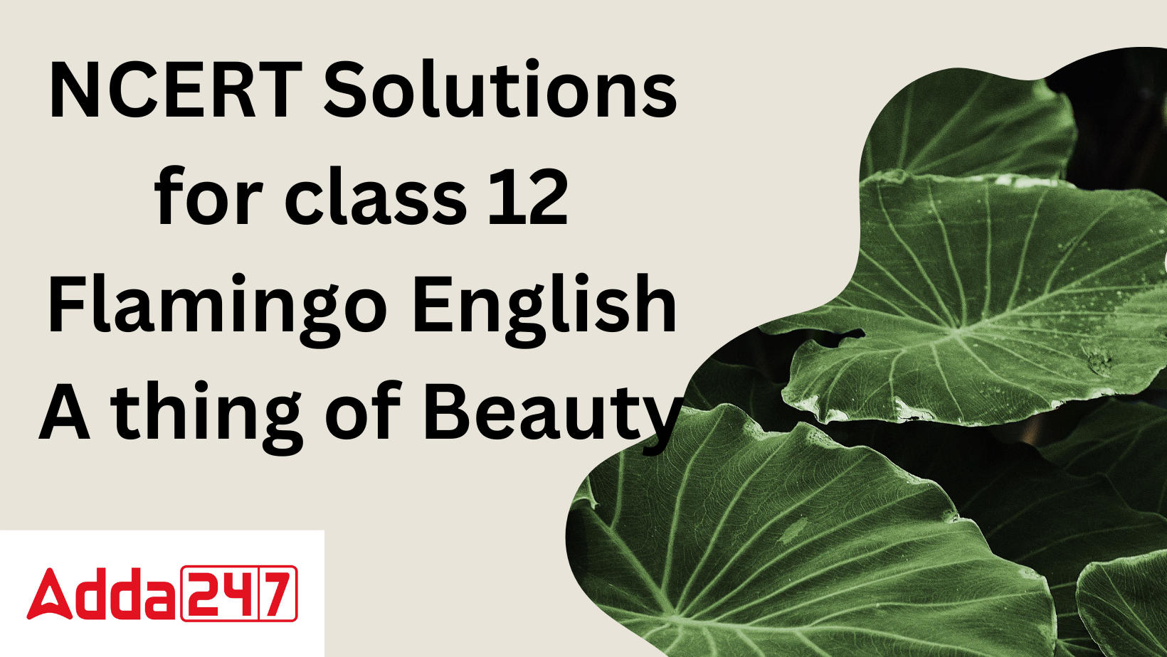 NCERT Solutions for class 12 Flamingo English A thing of Beauty