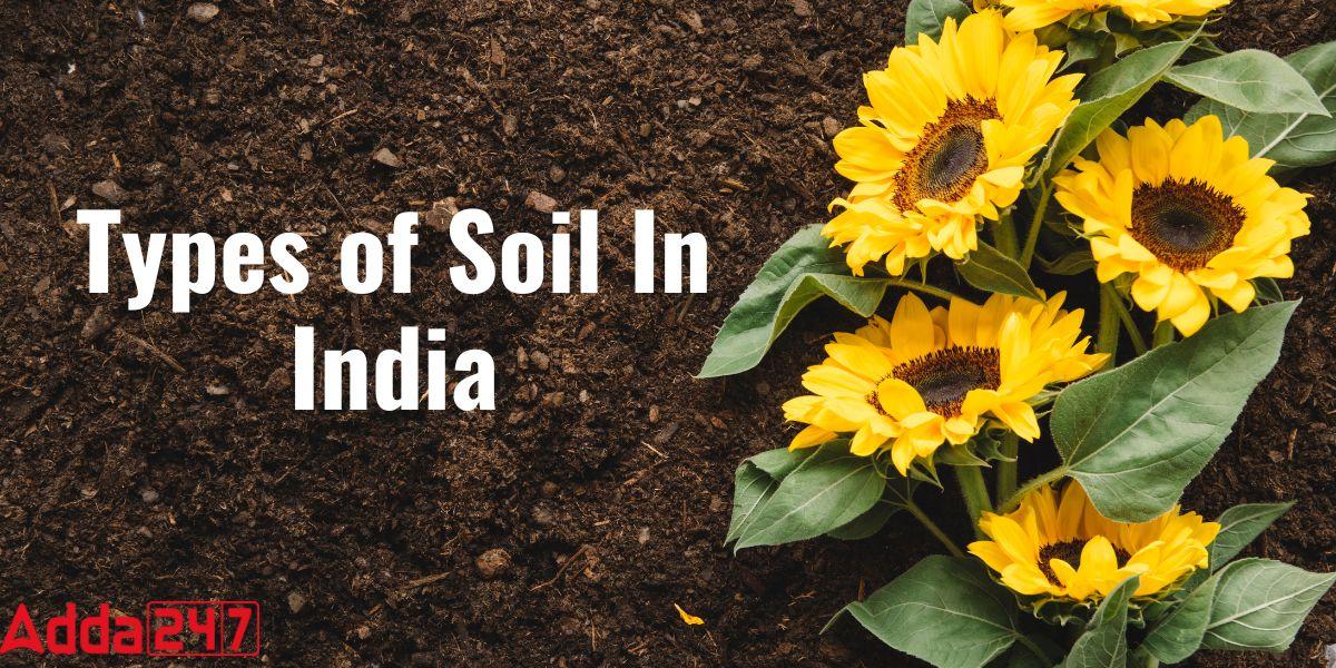 Types of soil in India