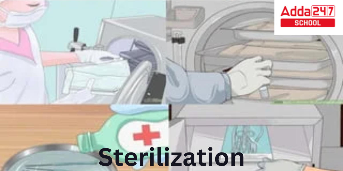 Sterilization