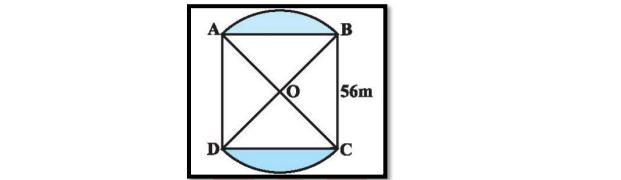 Class 10 Maths Board Paper 2024 {Most Expected}_13.1