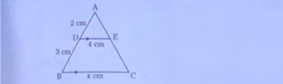 CBSE Class 10 Maths Answer Key 2024 for Standard & Basic Set 1,2,3_9.1