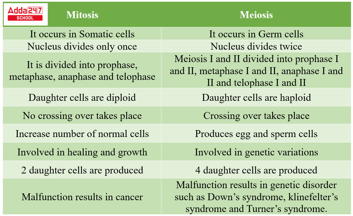 Difference between Mitosis and Meiosis