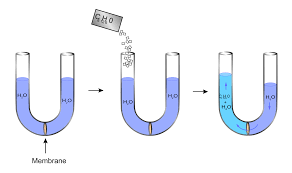 Osmotic pressure