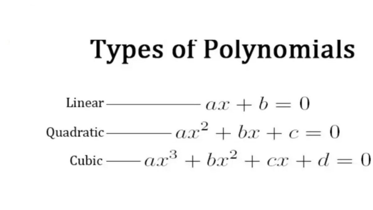 Polynomials