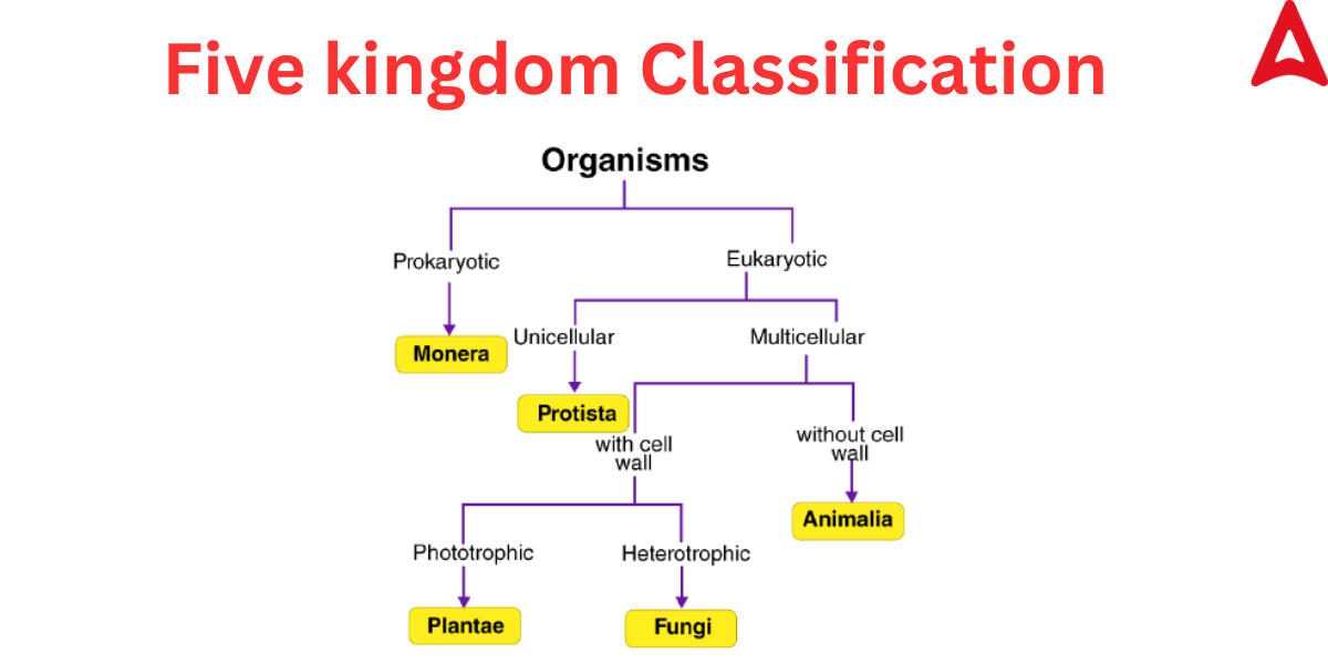 Five Kingdom Classification