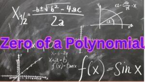 Zero of a Polynomial