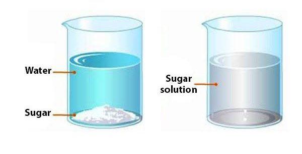 Homogenous and Heterogeneous Mixture, Check 10 Examples of These -_3.1