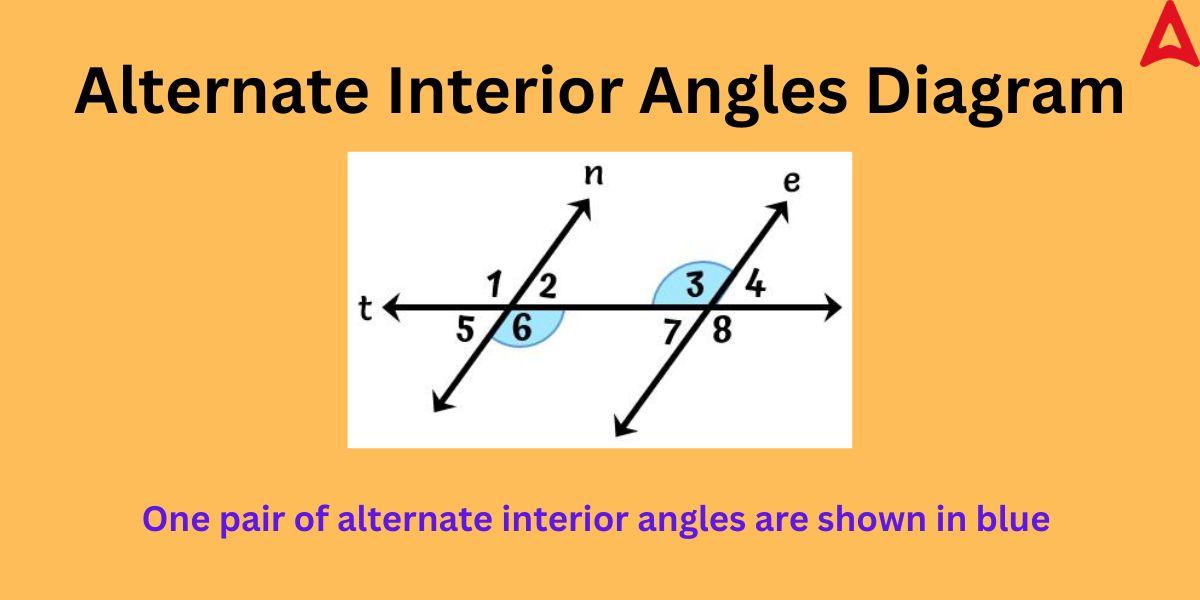 Alternate Interior Angles Definition Theorem Diagram Examples Alternate Interior Angles Definition Theorem Diagram Examples
