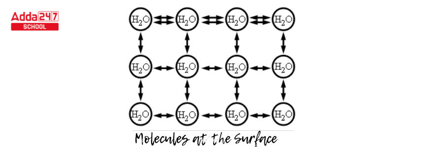 Surface Tension- Definition, Formula, Examples -_3.1