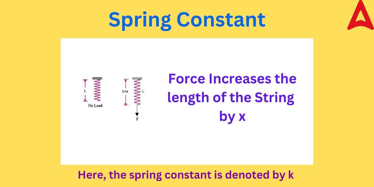 Spring Constant