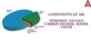 Components of Air: Their Percentages, Primary Component and Diagram